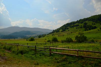 Прикрепленное изображение: DSC_0016_.jpg